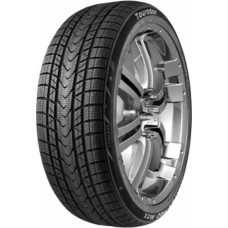 Tourador 255/35R19 TOURADOR WINTER PRO MAX 96W XL DOT23 Friction CDA68 3PMSF M+S