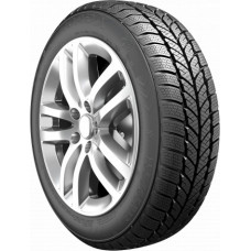 Roadx 205/50R16 87H FROST WH01 RoadX