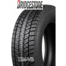 Bridgestone DM-V3 255/55R20 110T