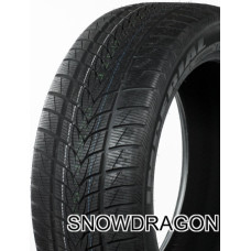 Imperial SNOWDRAGON UHP 255/30R19 91V