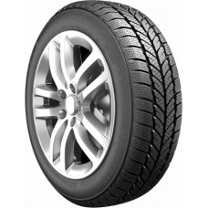 Roadx 195/65R15 91T RXFROST WH01 RoadX